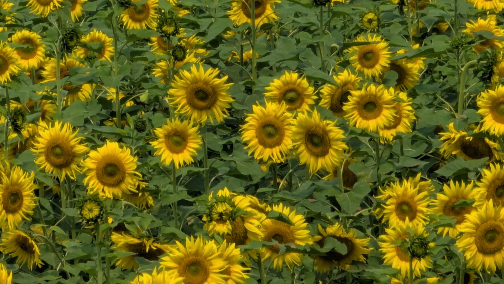 6e7a4340-5156-496b-8d69-cb90da54b894