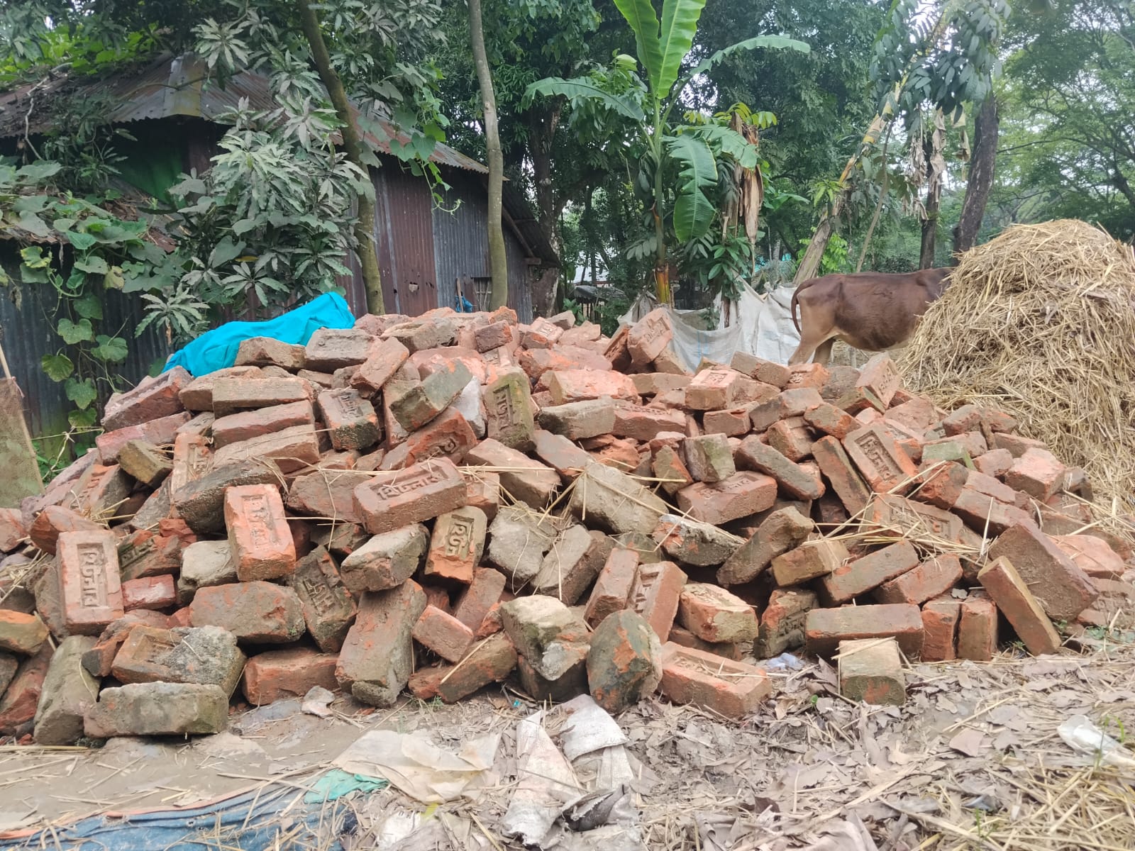 759a1810-aa77-4096-b9bd-802634969f5f