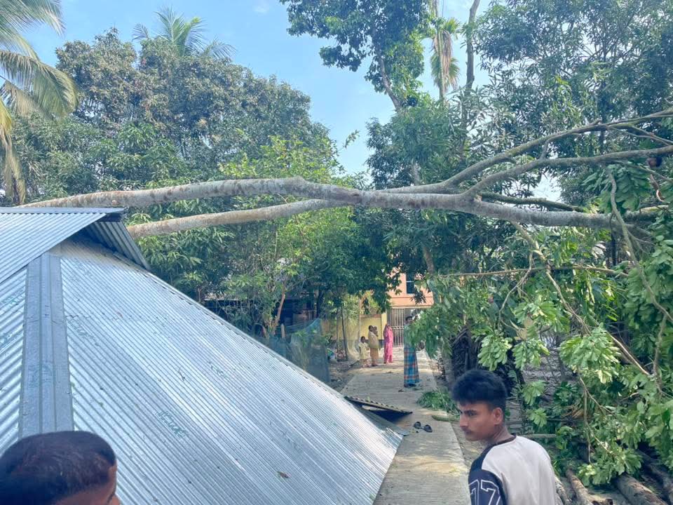 7d346ef6-6d86-46b8-8c4b-5f429e9864cb