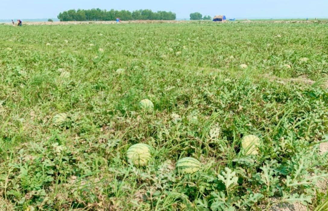 8092f207-6c05-4be0-a228-6a2652afb971 8092f207-6c05-4be0-a228-6a2652afb971