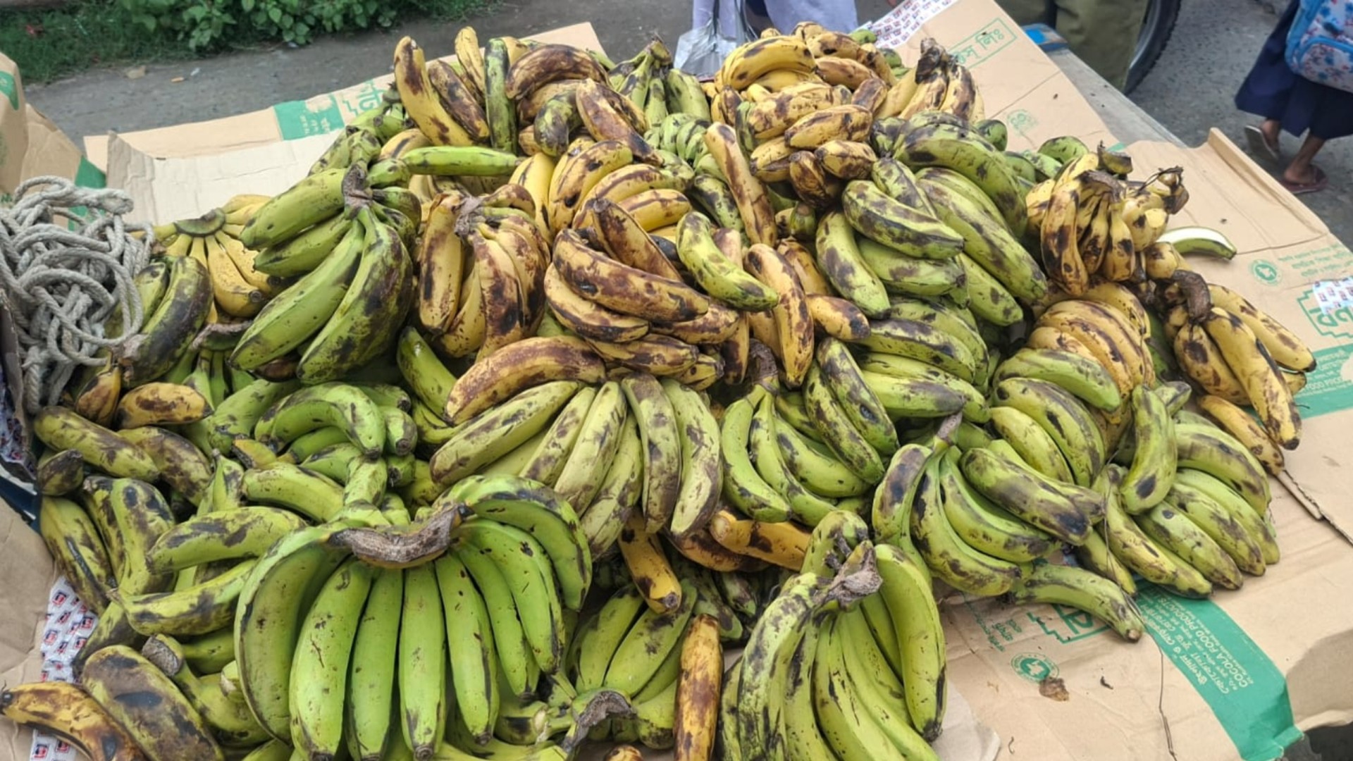 82e31b8a-28c1-4cee-a1b2-ee3c735d1e59 82e31b8a-28c1-4cee-a1b2-ee3c735d1e59