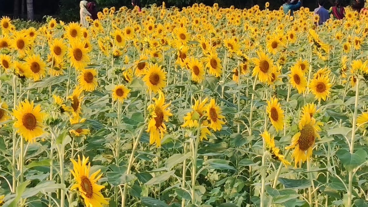 856c4ad3-305e-4c18-b60a-975b302b4adf