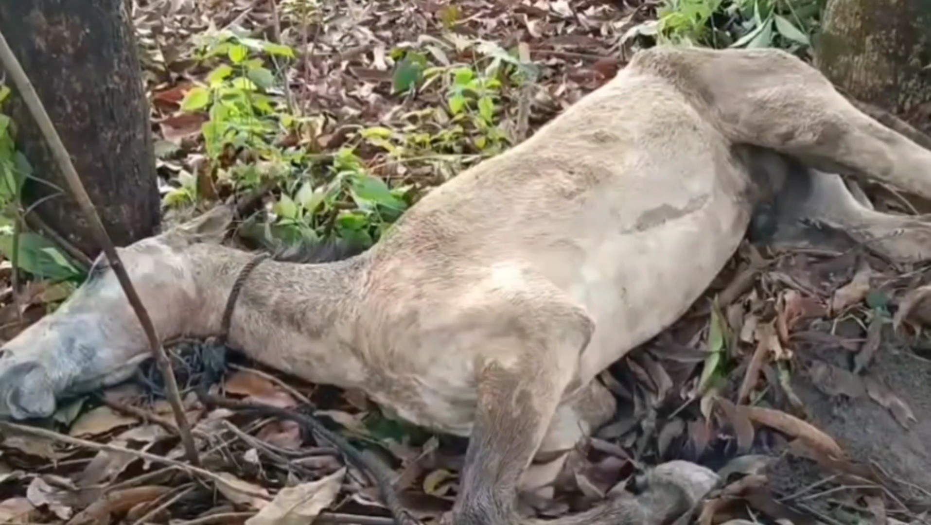 9571fbda-4102-4855-bfee-ee7a2e635b48