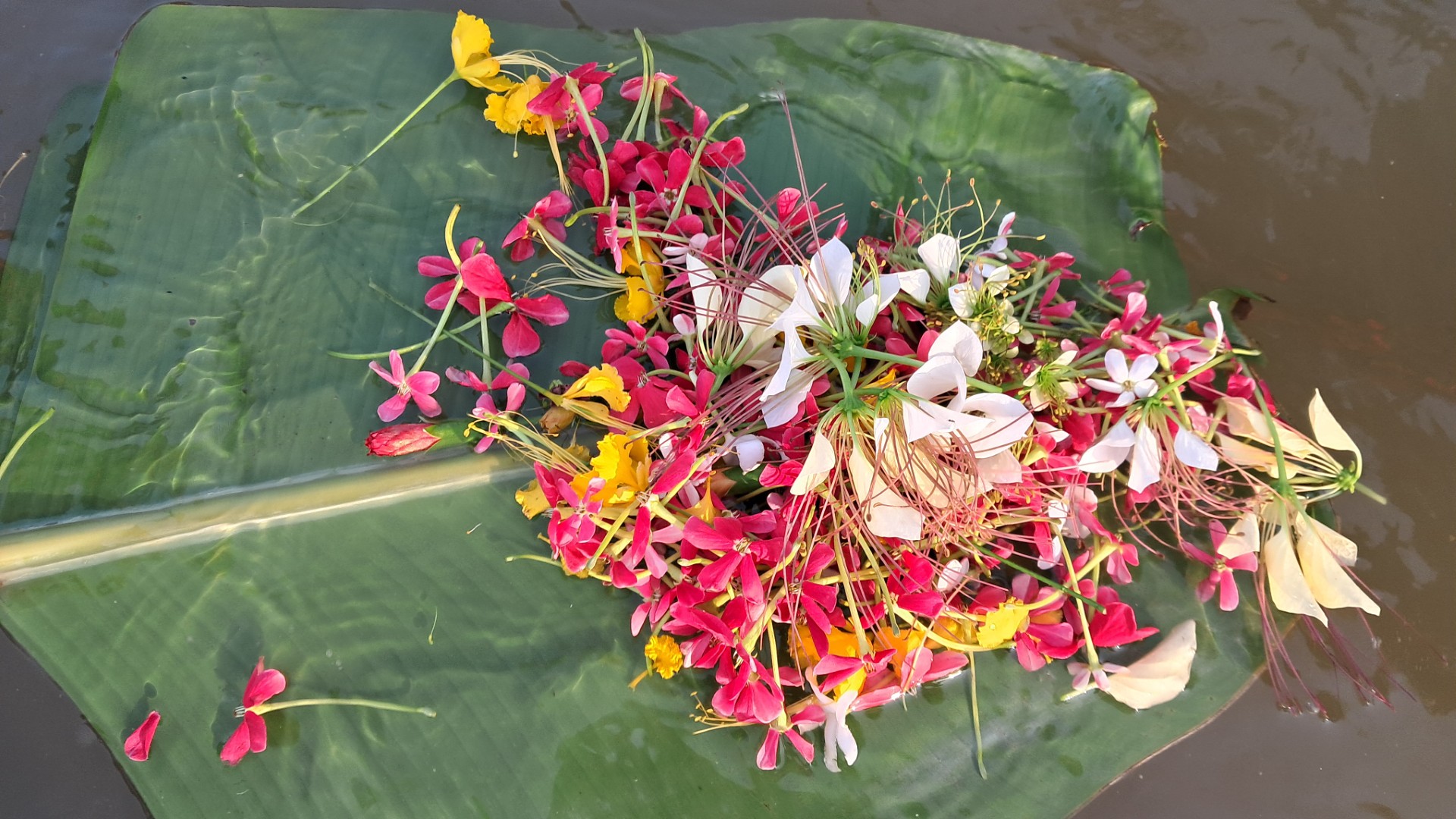 99cfa860-0c92-4473-982e-68bb7c9fda59