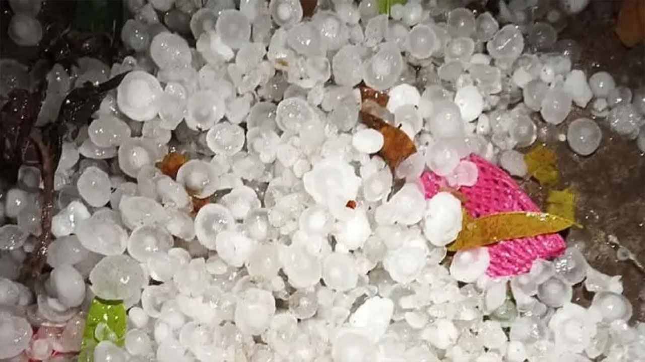 আগামী পাঁচ দিনে বজ্র ও শিলাবৃষ্টির শঙ্কা