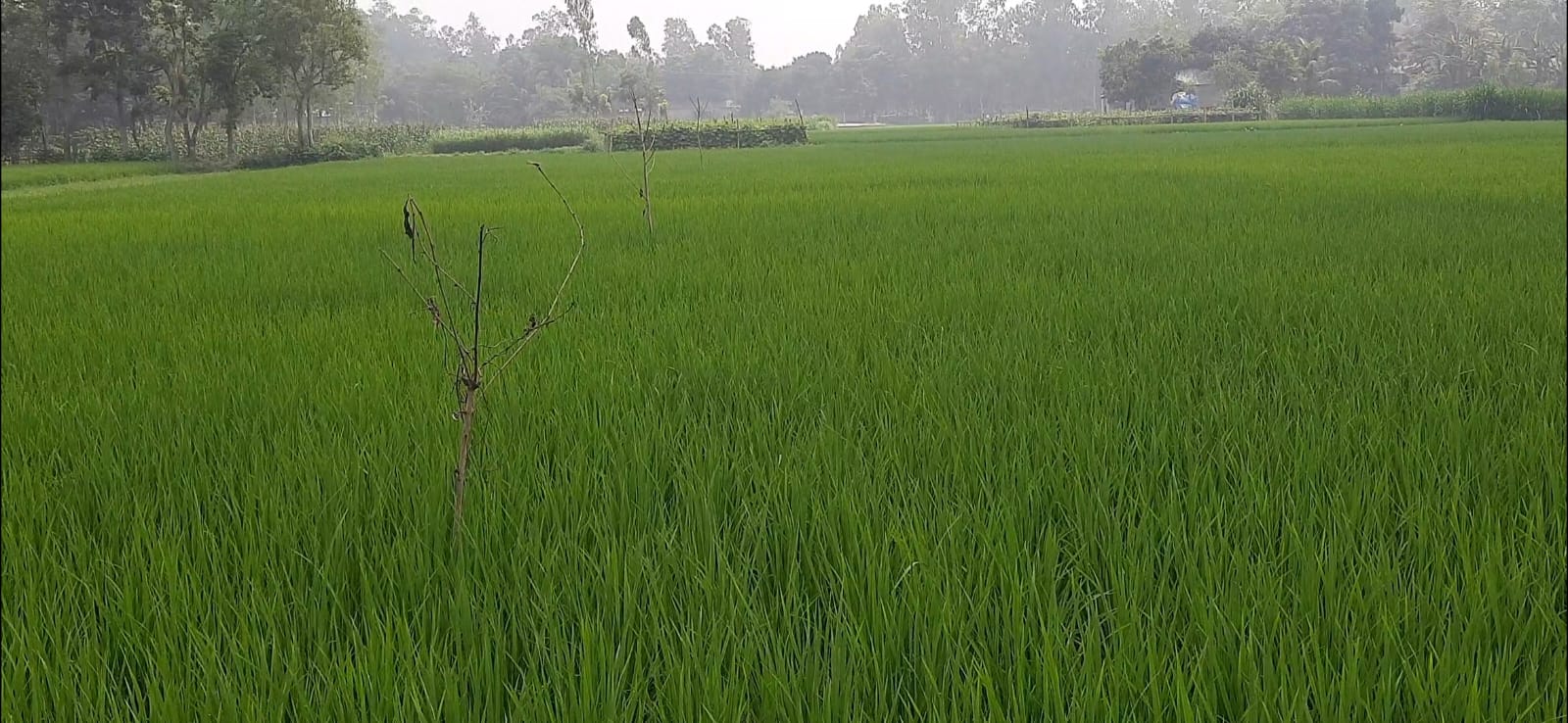 9a8dc070-459a-44a0-8b23-2062aa098e48