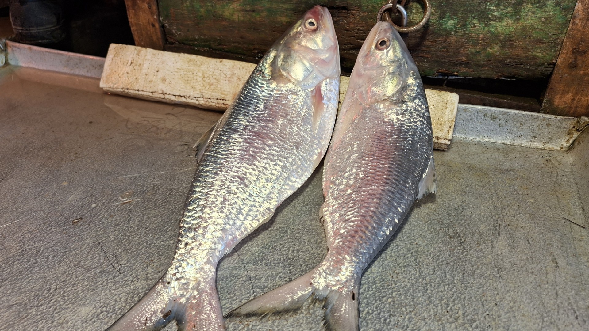 9e0e7a42-63d8-4a44-bd7c-cb0fd7194386