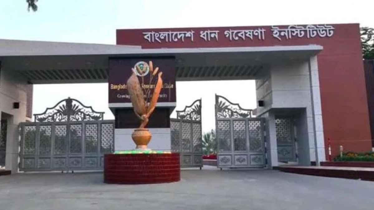 মহাপরিচালক বিহীন ধান গবেষণা ইনস্টিটিউটের কার্যক্রমে স্থবিরতা