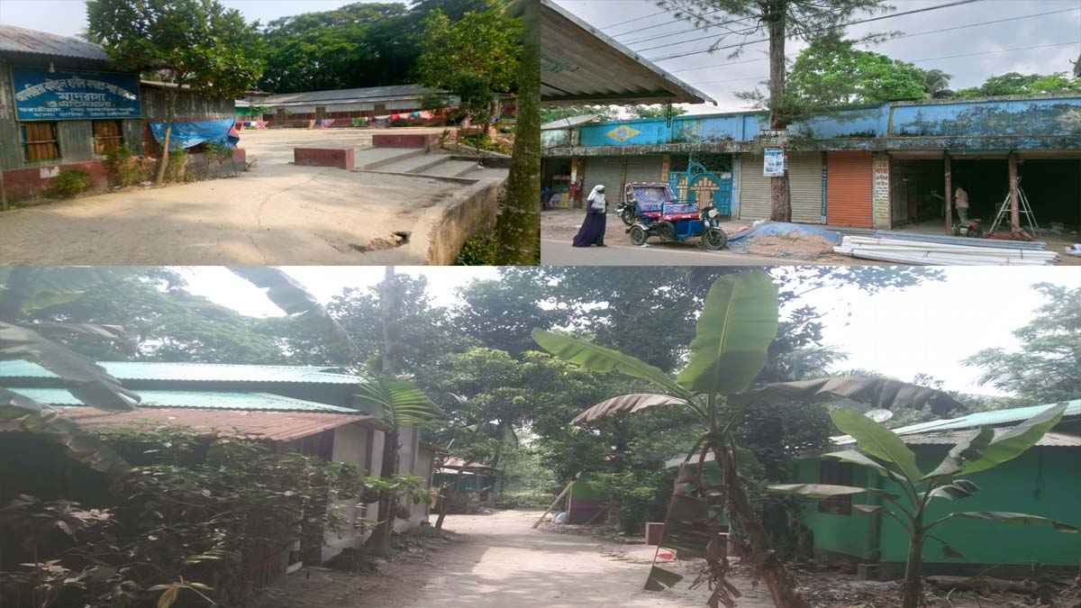 হাতিয়ায় বিলুপ্ত সিনেমা হল, গড়ে উঠেছে বসতি-প্রতিষ্ঠান