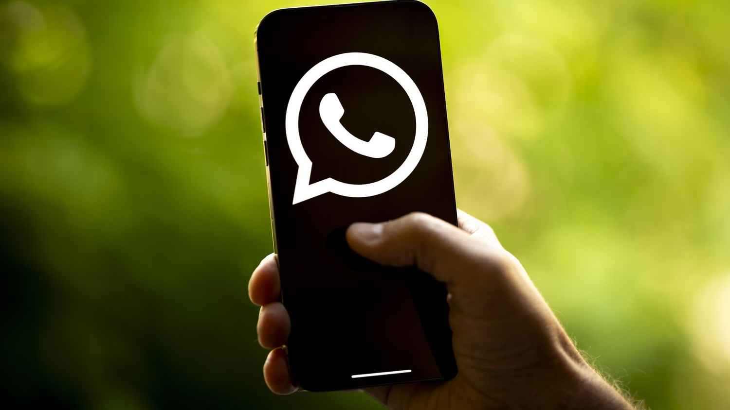 ফোন নম্বর ছাড়াই করা যাবে কল ও চ্যাট: হোয়াটসঅ্যাপে আসছে পরিবর্তন