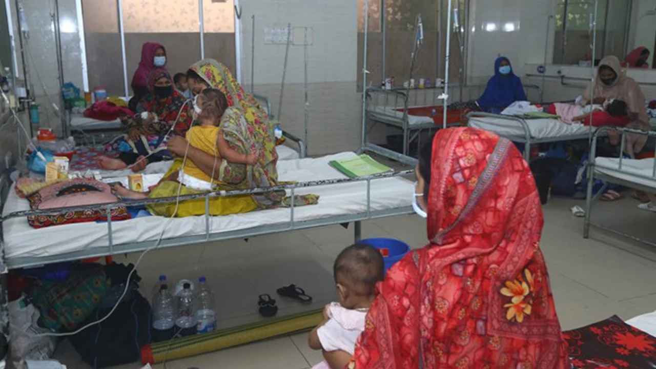 হামে আক্রান্ত-উপসর্গ নিয়ে আরও ৮ মৃত্যু