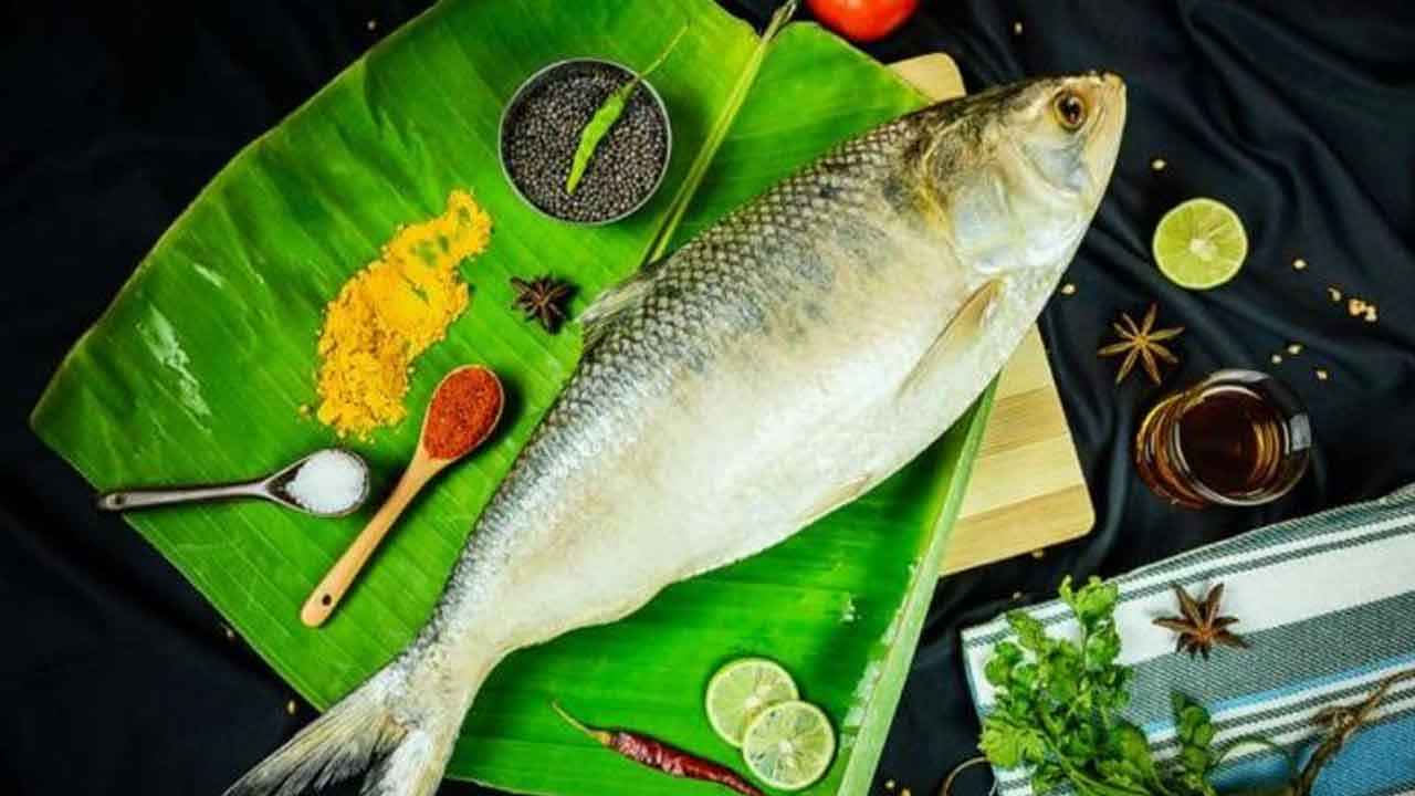 Hilsa