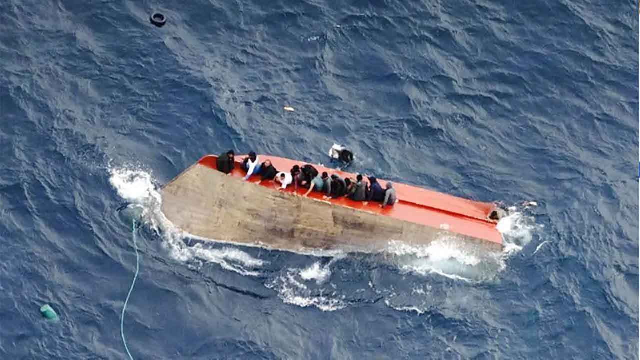 Immigrant