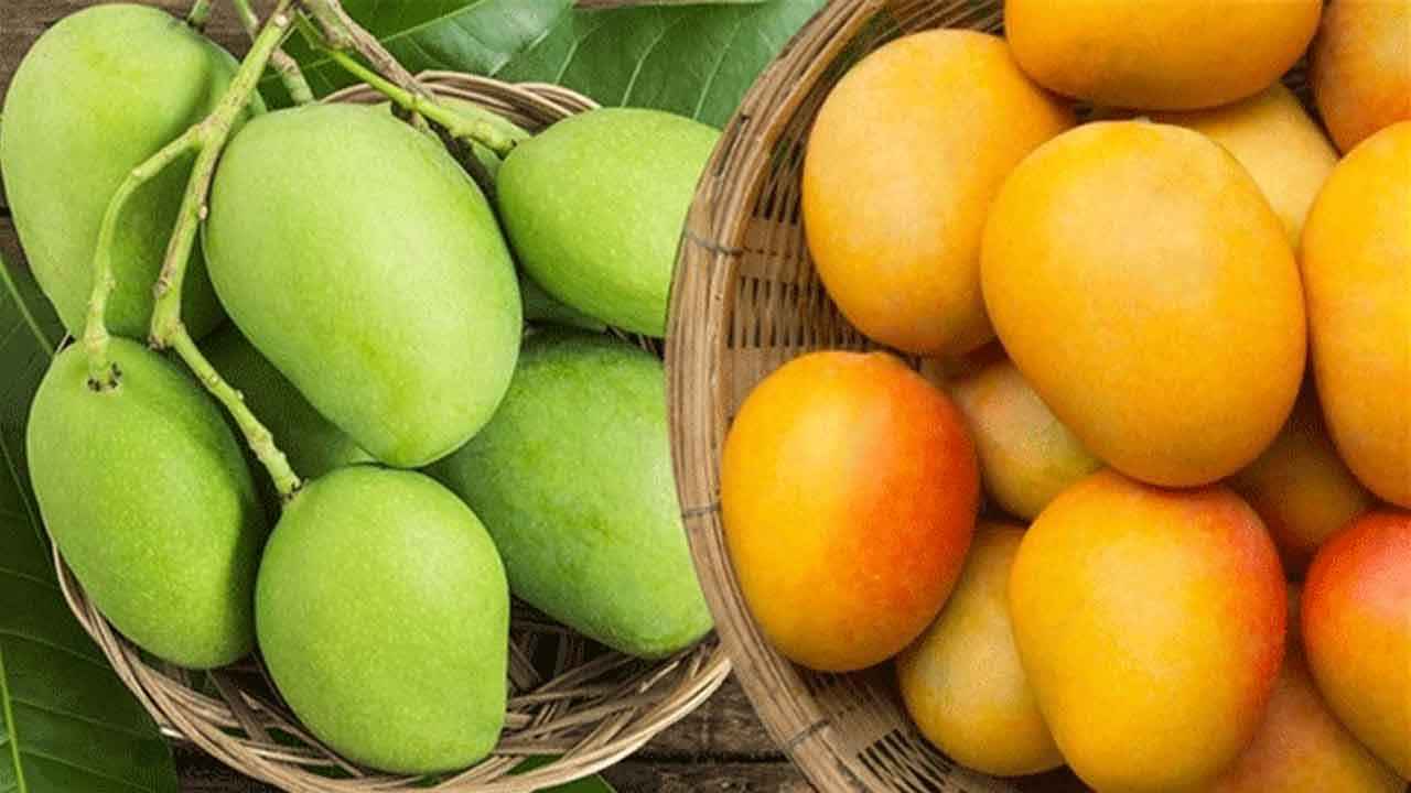 ‘আম রফতানি বাড়াতে সমন্বিত পরিকল্পনা নিচ্ছে সরকার’