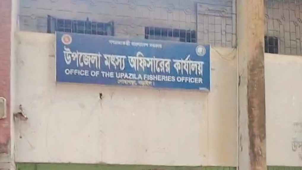 লোহাগড়ায় অনুদানের ৬০ গরু গেল কার গোয়ালে!