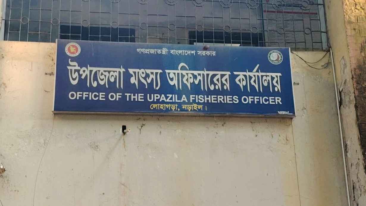 লোহাগড়ায় মৎস্য অফিসের ৬০ গরু বিতরণ, অনুসন্ধানে বেরিয়ে এলো নানা অসংগতি