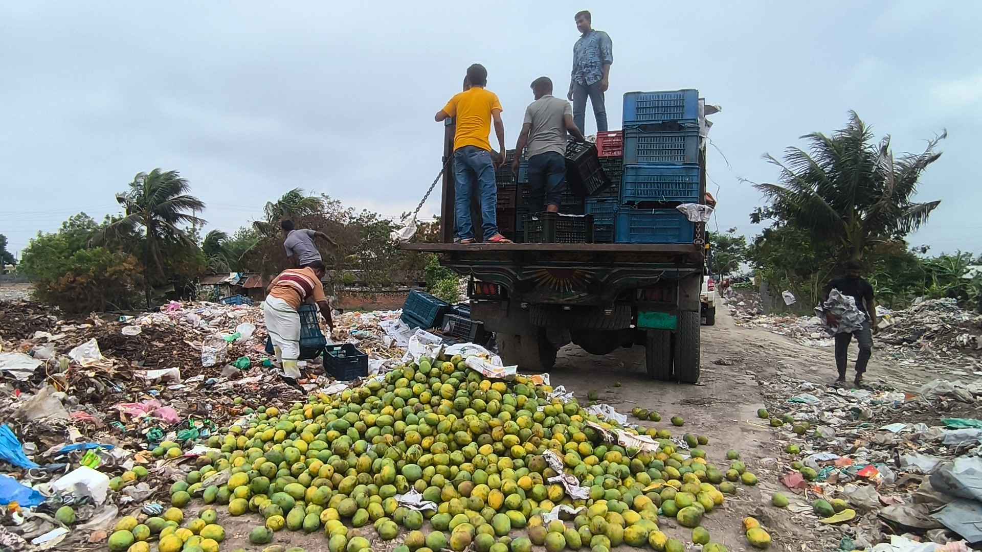 সাতক্ষীরায় কেমিক্যাল মিশ্রিত ৯ হাজার কেজি আম জব্দ ও ধ্বংস