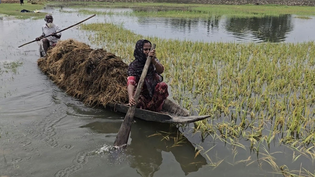 Sunamganj-Haor-Dhaka-mail-5