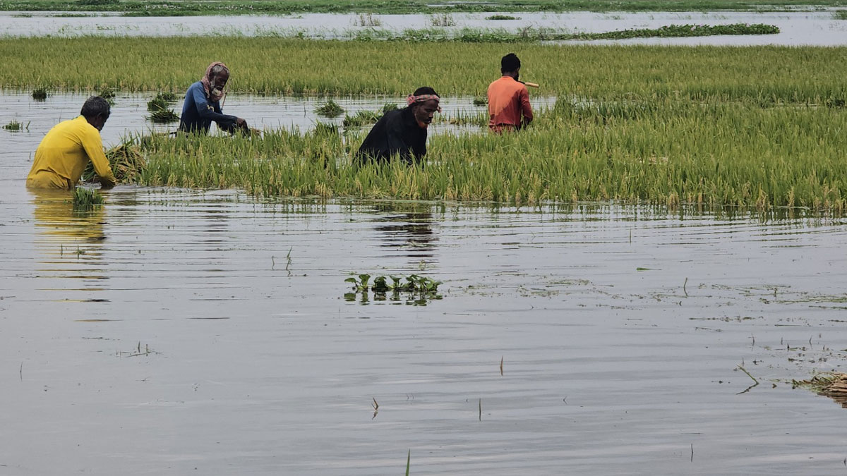 Sunamganj-Haor-Dhaka-mail