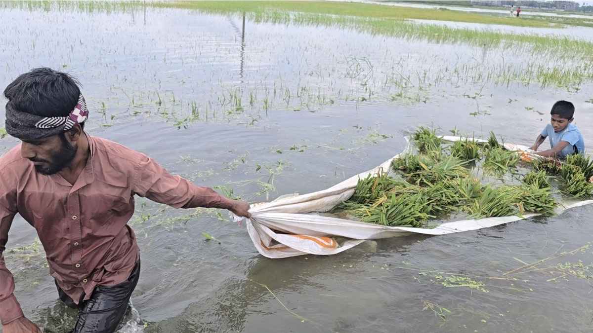 ‘এবারকার মতো ঠান্ডা ঢলের পানি আগে দেখিনি’