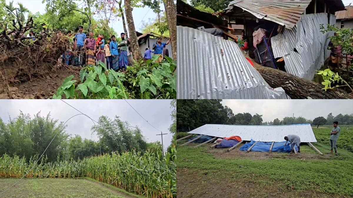 ঠাকুরগাঁওয়ে টানা দুই দিনের কালবৈশাখীর তাণ্ডব, ঘরবাড়ি বিধ্বস্ত