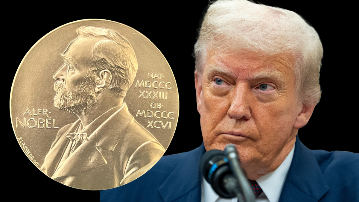 ২০২৬ সালের নোবেল পুরস্কারের জন্য মনোনীত ২৮৭ জন, আছেন ট্রাম্পও!  