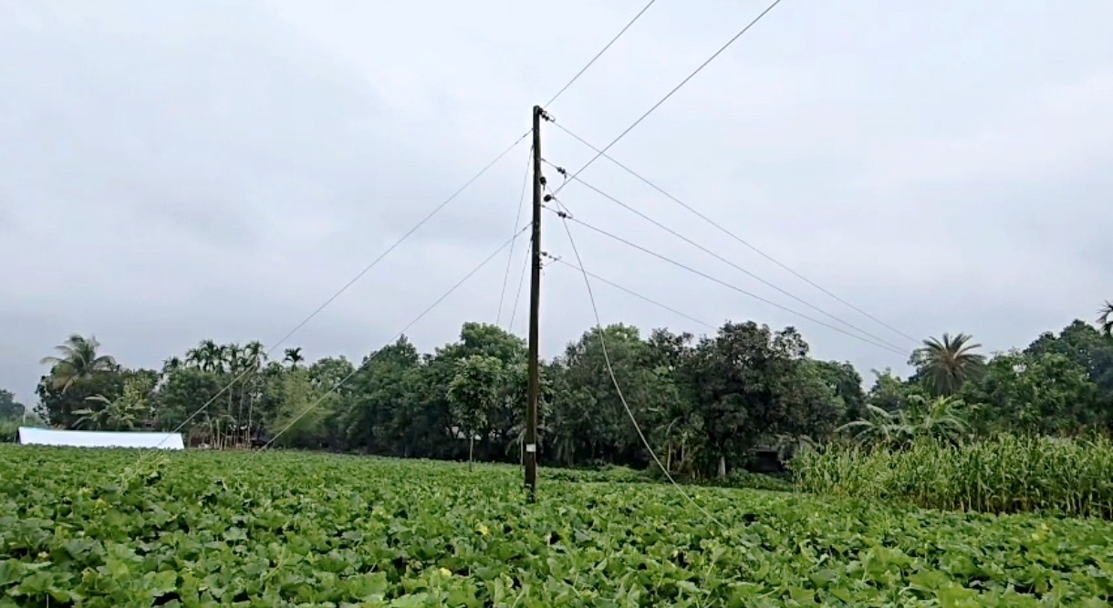 a30315cc-11ae-42dd-8205-4d1c62b6a810