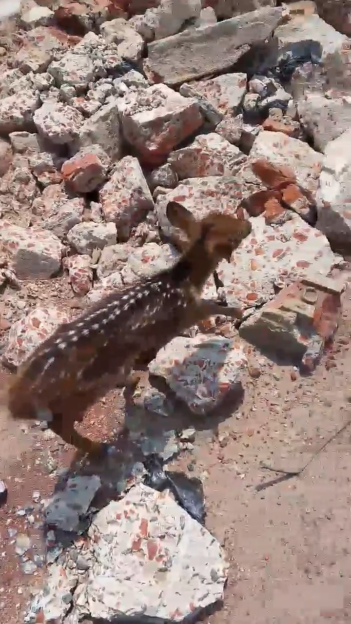 a6588348-e63b-4cad-b066-c27c79e72f5c