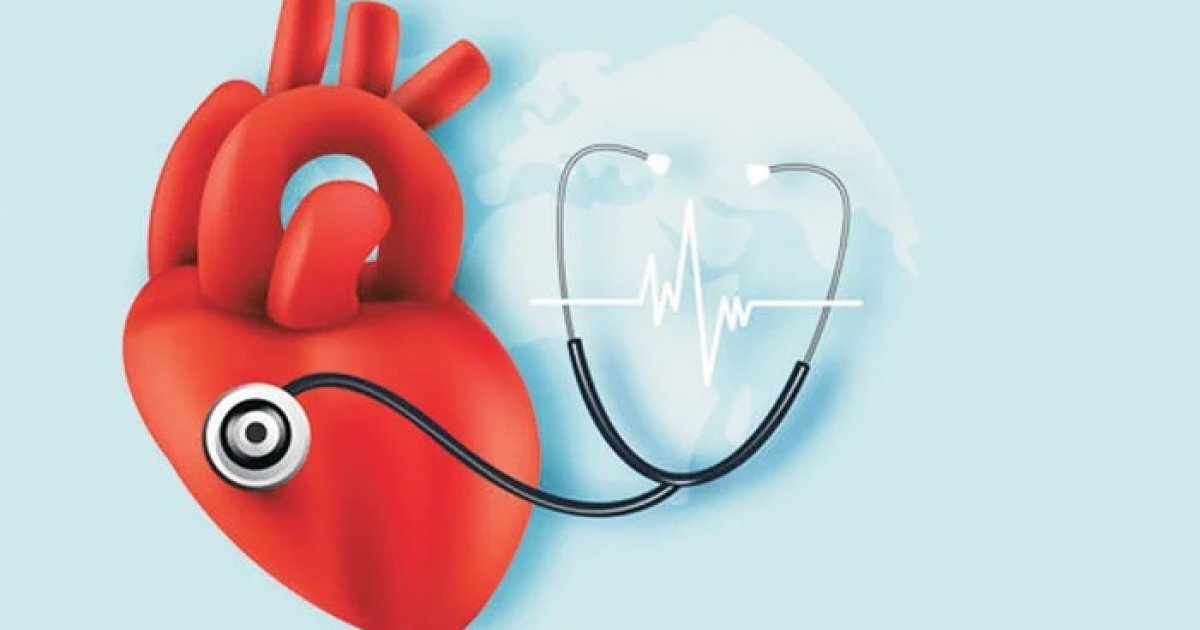 ab06e7ceaf890a6cb140d4a17cce8cb5-66f8d7d54750a ab06e7ceaf890a6cb140d4a17cce8cb5-66f8d7d54750a