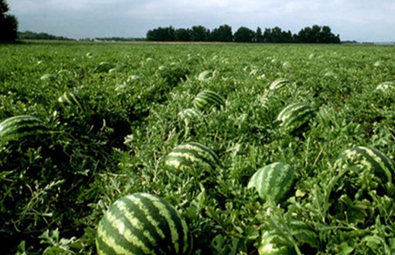 ab983ff0-ab84-49c1-bf58-cb9c6f58bc74 ab983ff0-ab84-49c1-bf58-cb9c6f58bc74