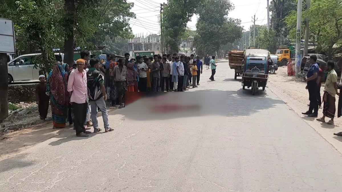 মেয়ের বাড়ি বেড়াতে যাওয়ার পথে ট্রাকচাপায় প্রাণ গেল মায়ের