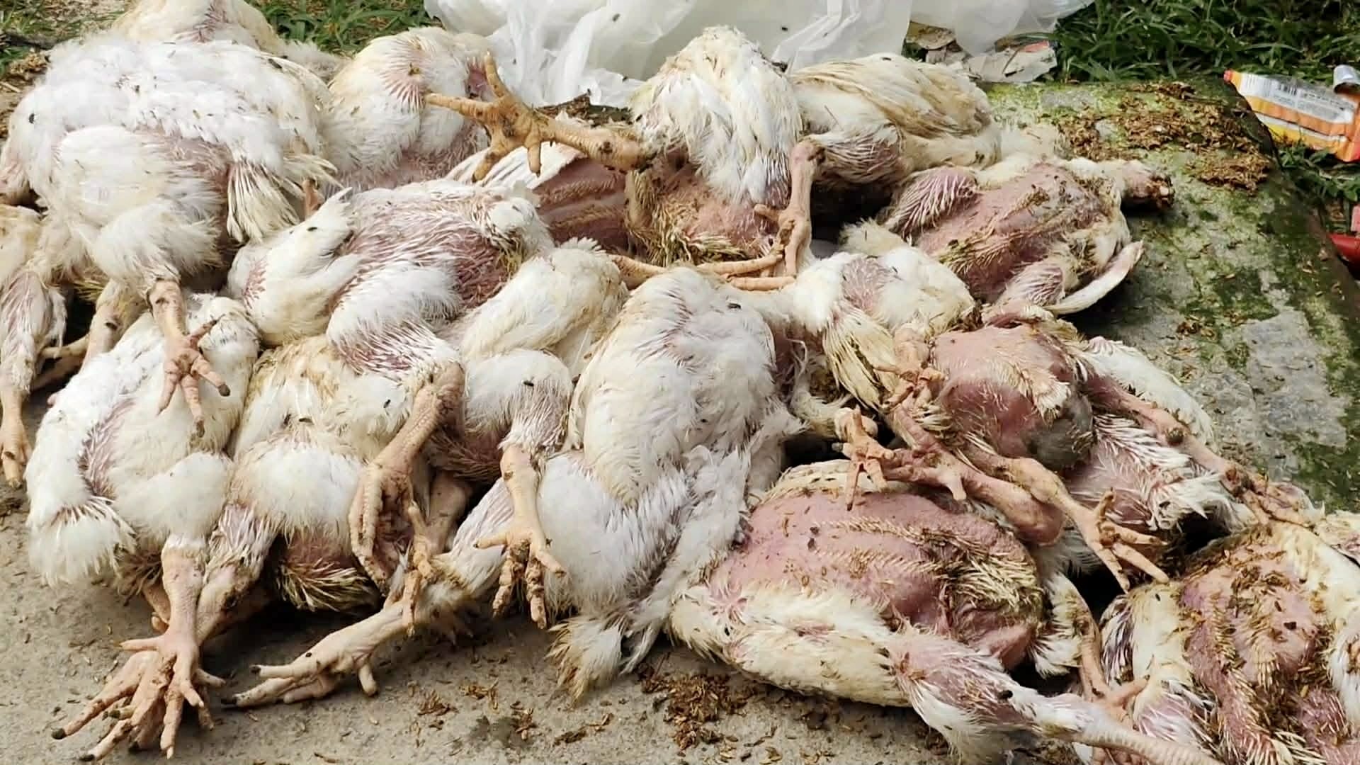 af48274d-fb69-49bd-b7e8-b31c1c9cba25