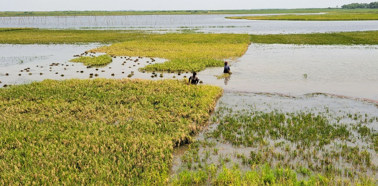 b1b5641a-da92-460b-90a9-2606eb1d5eb4