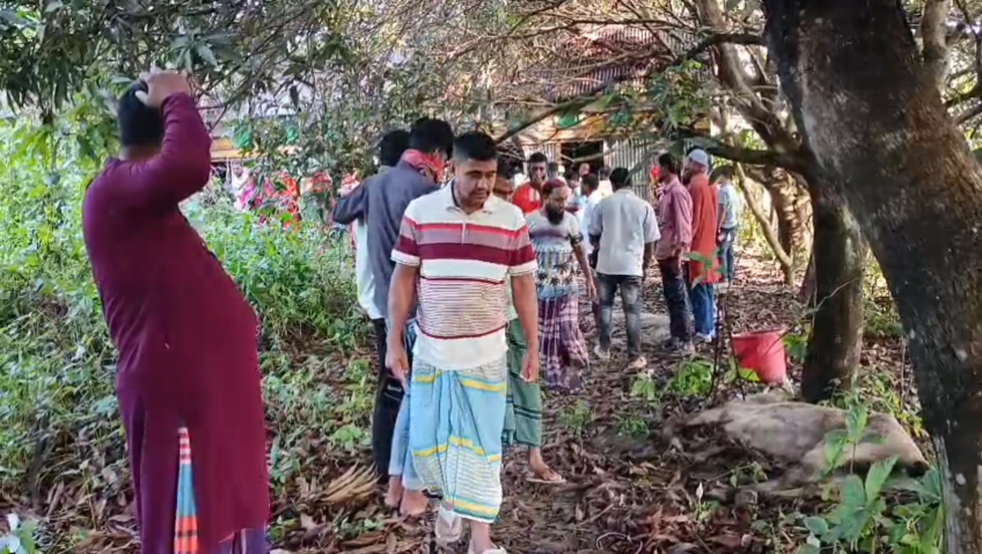 b5a429a7-6e7c-4d4b-b753-84ad46a9f21f