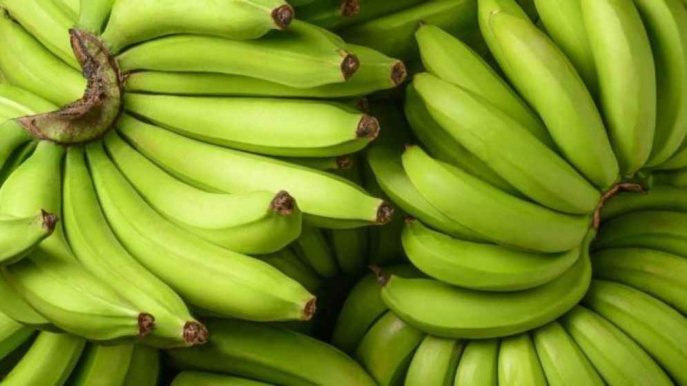 ফরিদপুরে স্কুল ফিডিংয়ে শিক্ষার্থীদের কাঁচা কলা, শিক্ষিকা বরখাস্ত