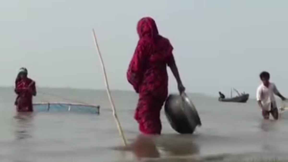 নিষেধাজ্ঞা উপেক্ষা করে রেণু পোনা আহরণ, হুমকিতে জীববৈচিত্র্য