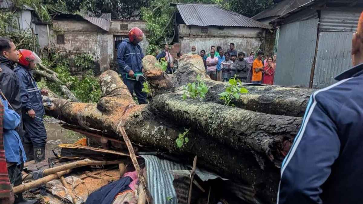 বগুড়ায় কালবৈশাখী ঝড়ে ব্যবসায়ী নিহত