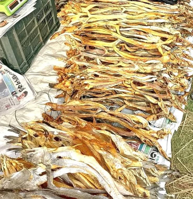 c0f9b0d0-5e43-4b14-8053-9b8cfcd3d4c2