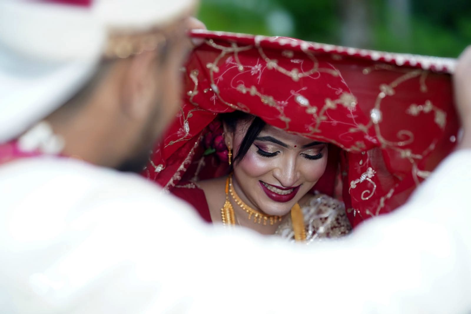 c6ba024f-39af-4eae-8edb-154ab4a50e95