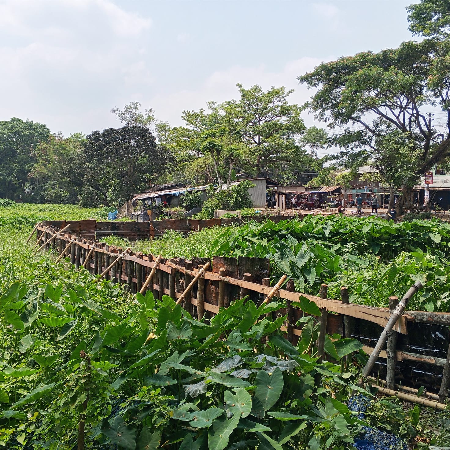 c7c6179b-5d72-4f98-be76-fd3cc8c5925c