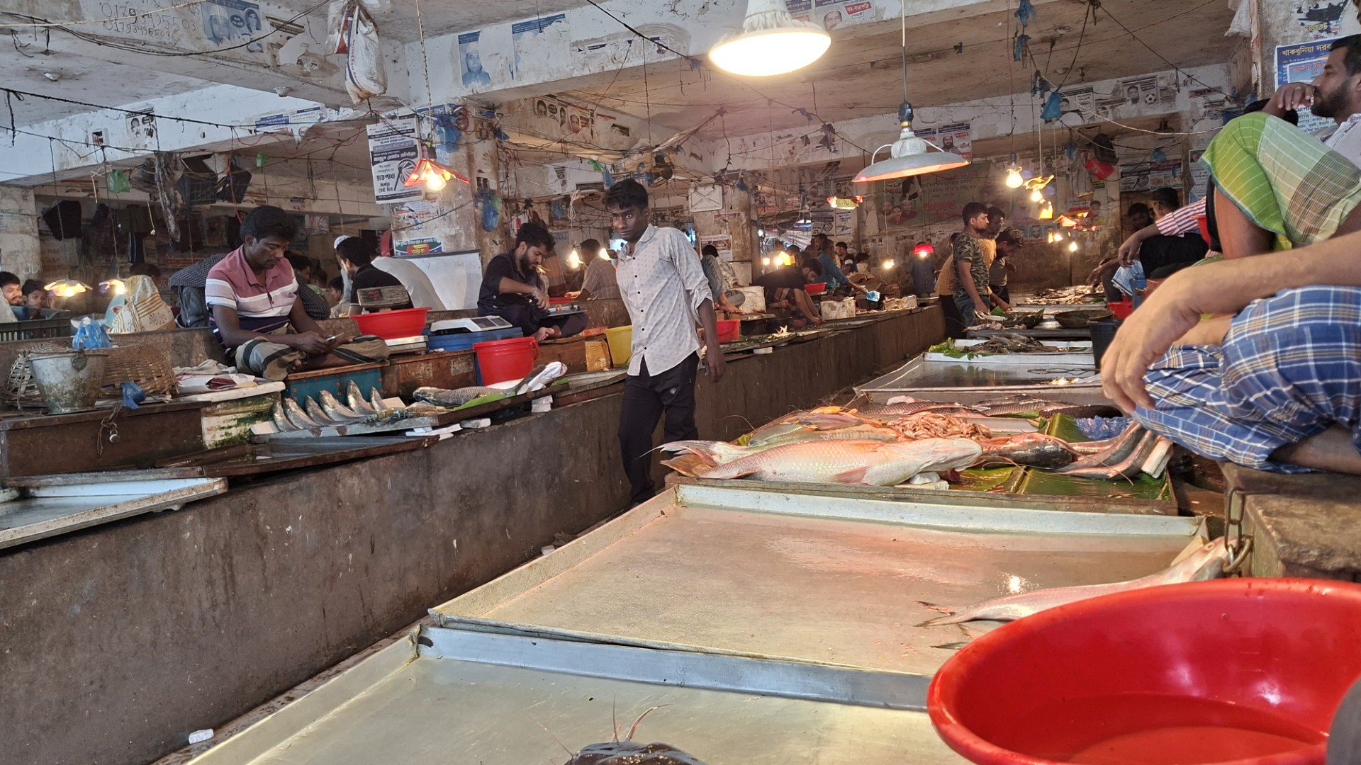 ca61d56c-fabc-426c-be65-30498263ac3f