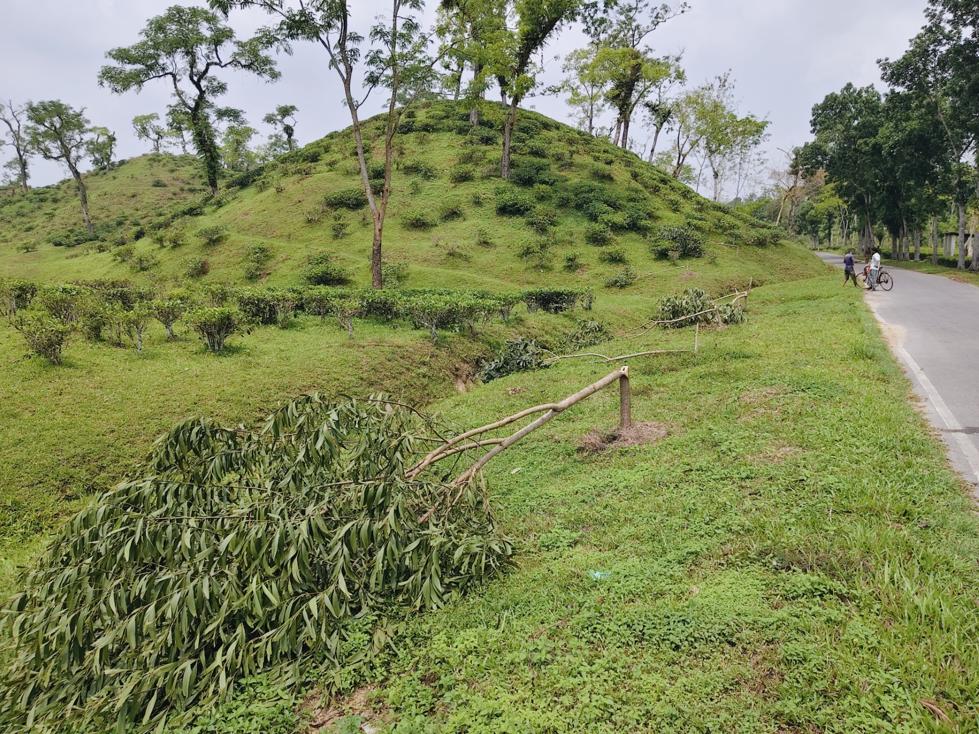 cbda768a-a92a-4ad0-be14-c360f49e9c5b