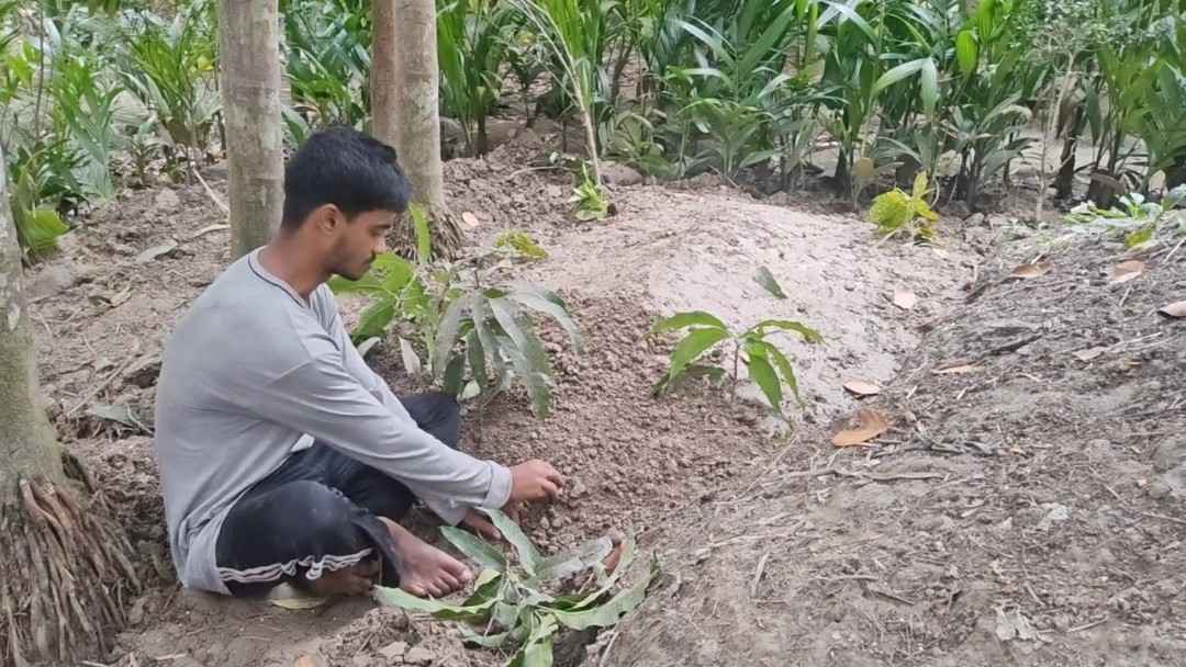 ভাতিজাদের পিটুতে চাচা নিহত, লাখ টাকায় মীমাংসার চেষ্টা, হয়নি মামলা