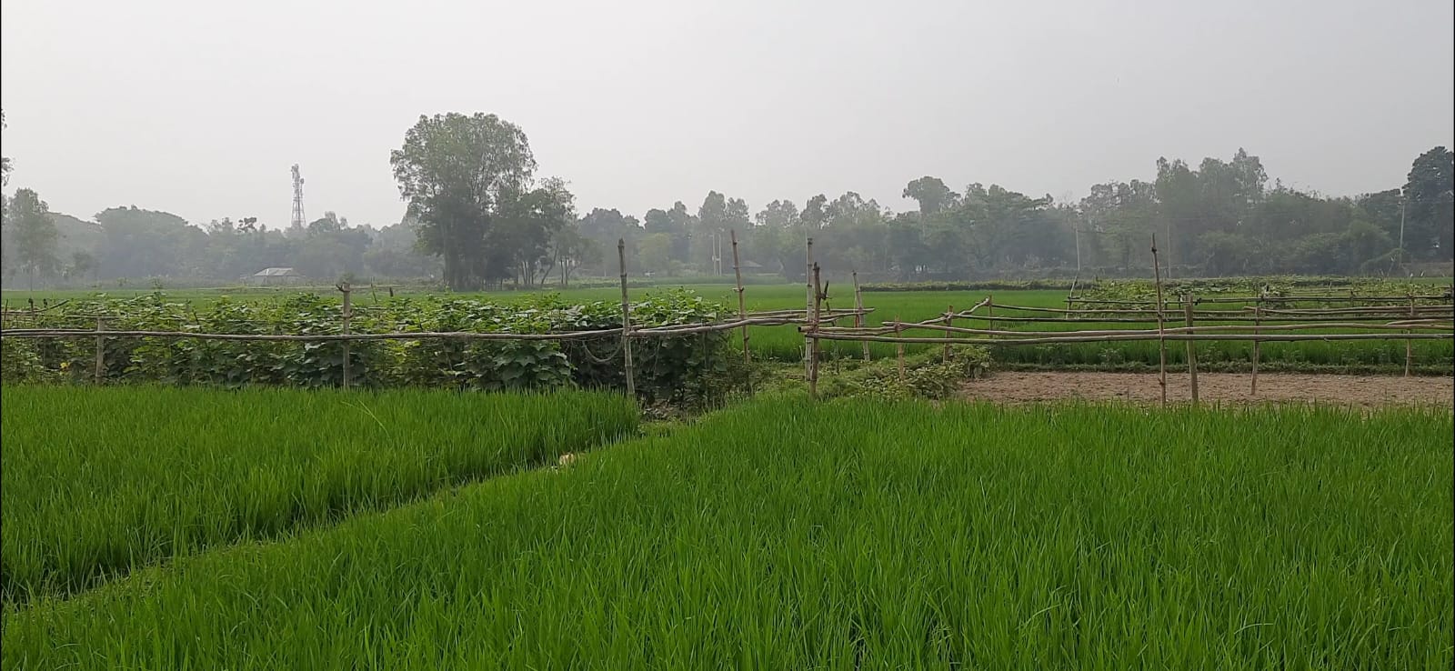 ce4175dd-2503-4252-9fd1-99967e8cc141