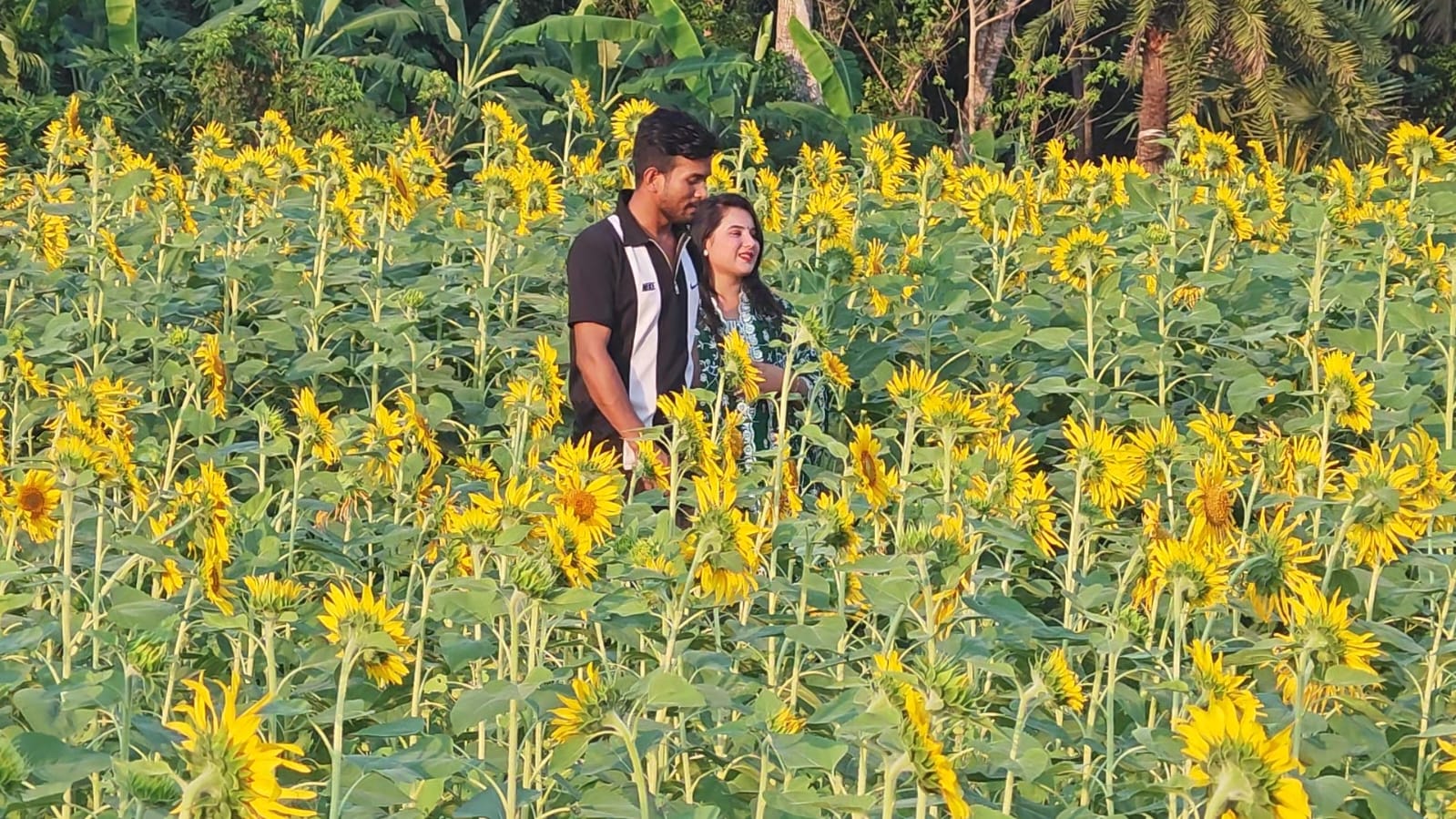 cf1c410d-e7bd-4517-a32f-f0b05d0f9438