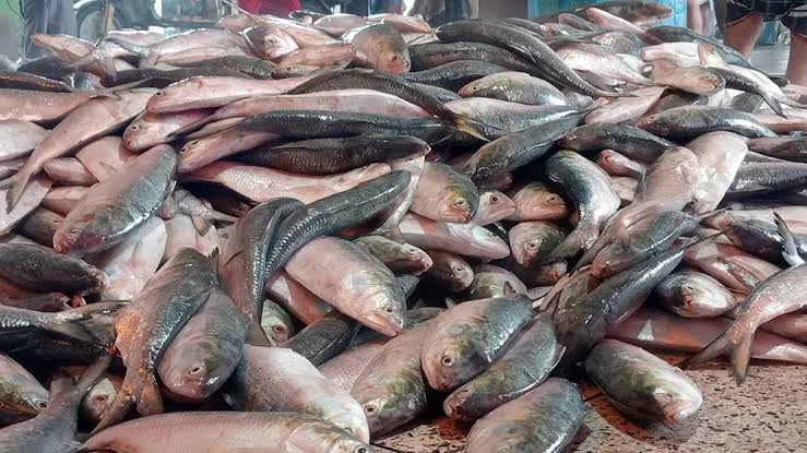 cf6282db-243c-4817-bc4b-851c8484930e cf6282db-243c-4817-bc4b-851c8484930e