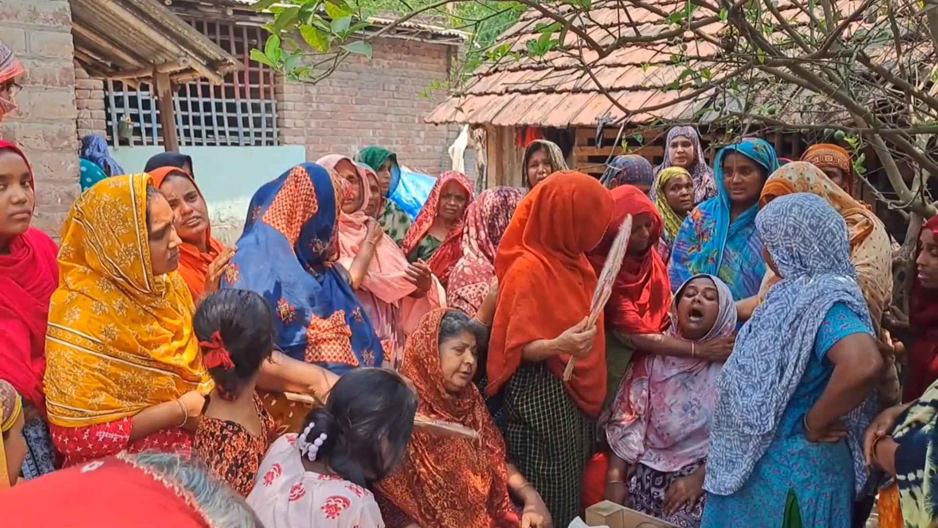 চুয়াডাঙ্গায় মৌমাছির কামড়ে ভ্যান চালকের মৃত্যু