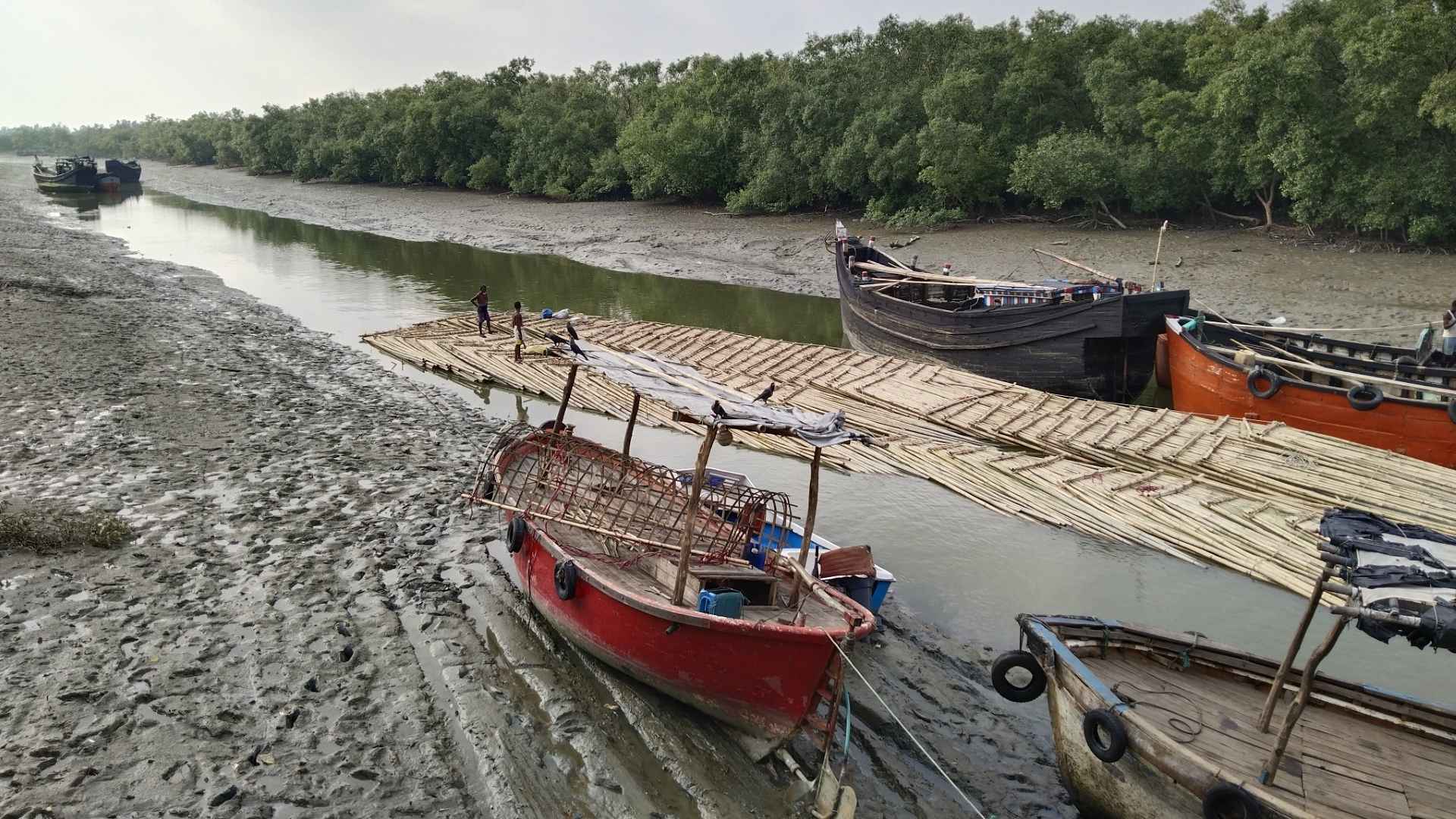 সাগরে ৫৮ দিনের মাছ ধরার নিষেধাজ্ঞা, জেলেদের দুশ্চিন্তা