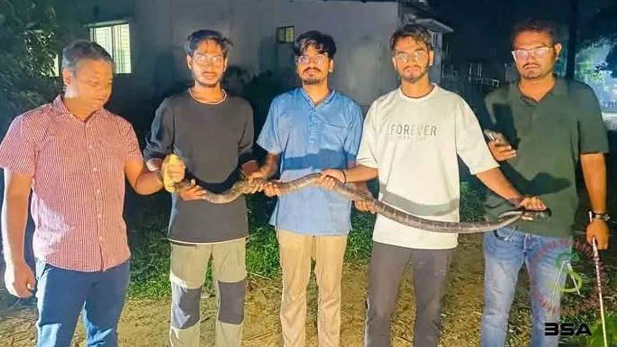 চবিতে ৮ ফুট লম্বা বিষধর কিং কোবরা সাপ উদ্ধার