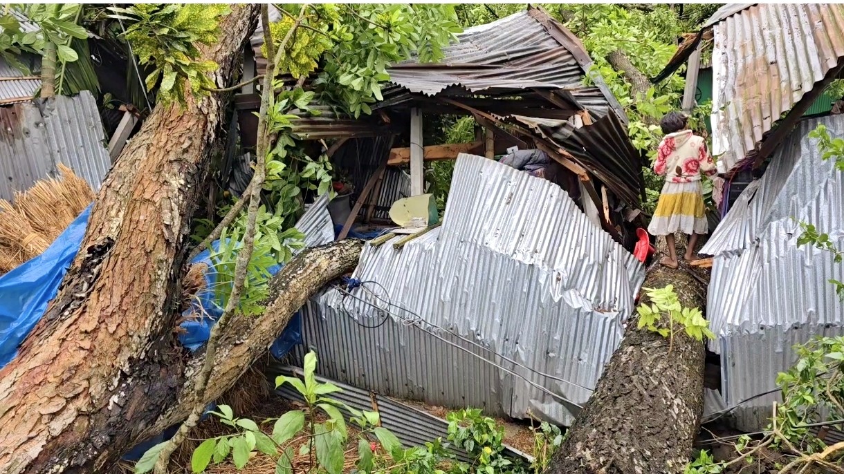 d075542b-62f5-4d85-9ea0-6afa3426c2b4